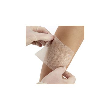 Jelonet Paraffin Gauze Dressings 10cm x 10cm (x10)