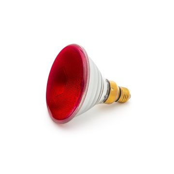 Curalux PAR38 150W Infrared Light Bulb 240V ES Edison Screw For Heat Lamps