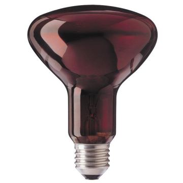 Beurer 230V R95 Infrared IR100 100W Replacement Light Bulb
