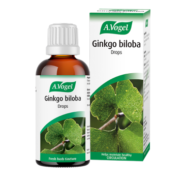 A Vogel Ginkgo Biloba Oral Drops Herbal Tincture (x100ml)