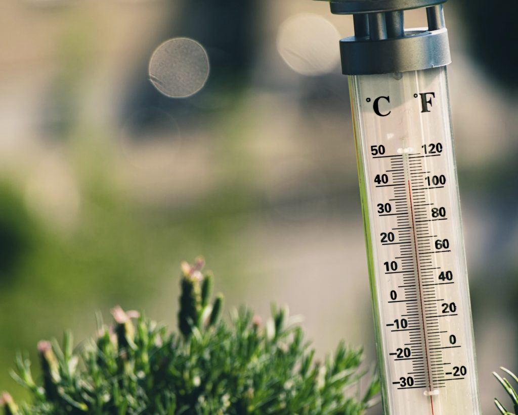 Contactless thermometer