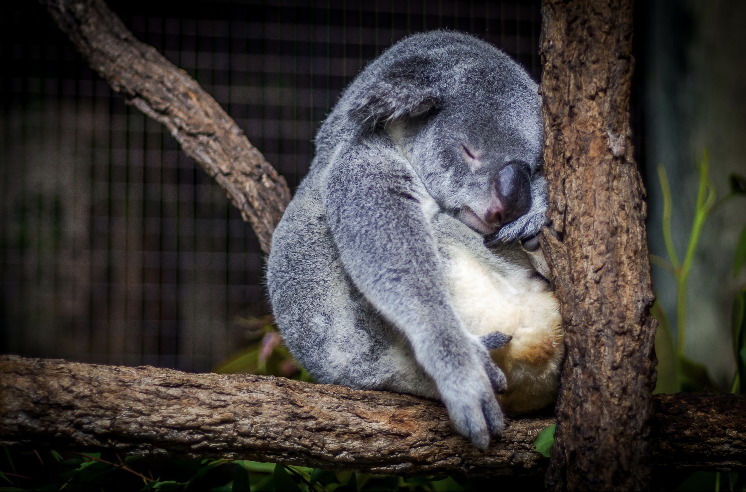 How to get a better nights sleep during a pandemic