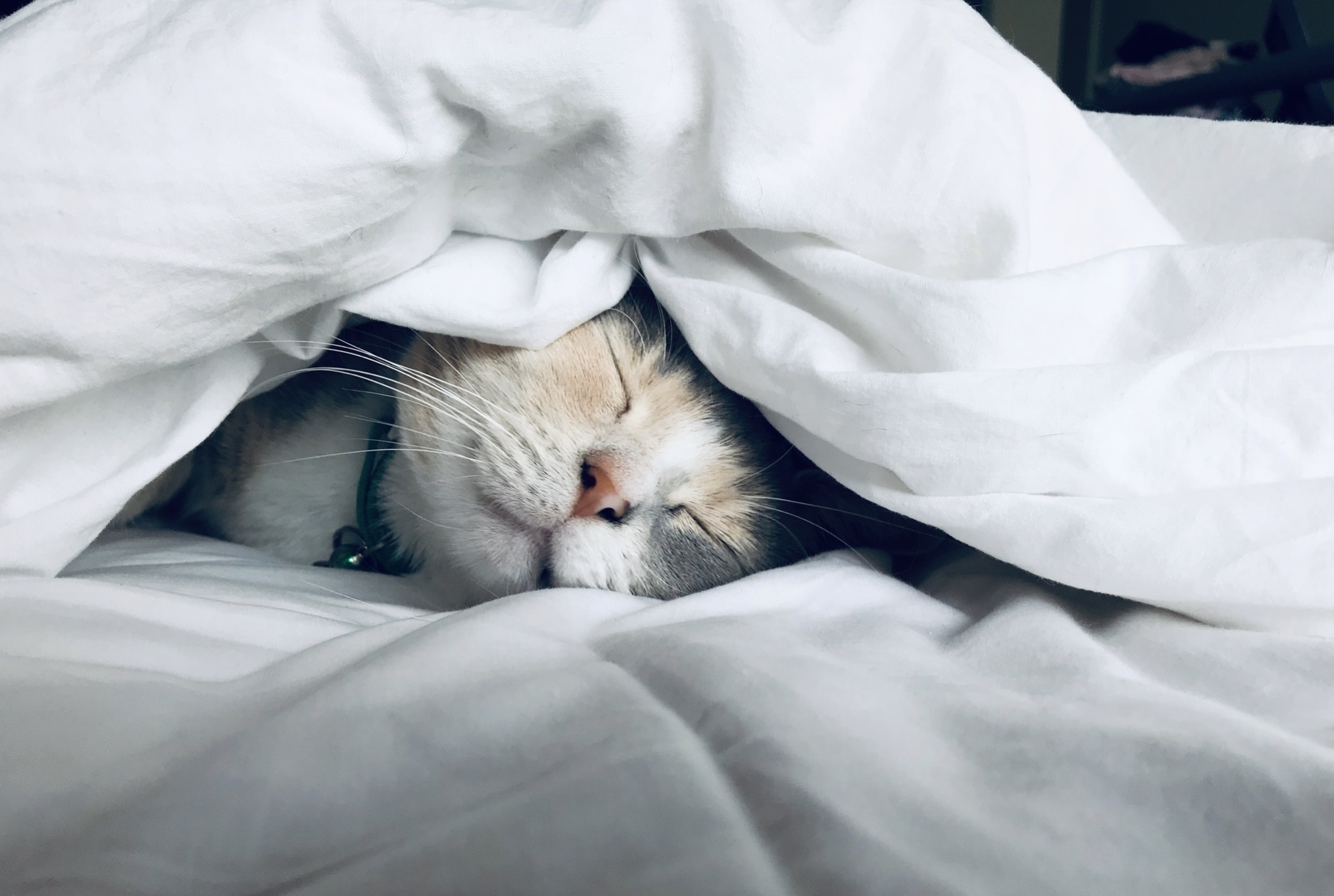 How to get a better nights sleep during a pandemic